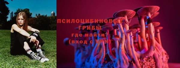 ALPHA PVP Бородино