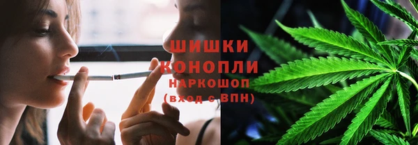 ALPHA PVP Бородино