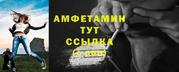 гидра Бронницы
