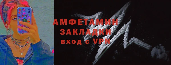 гидра Бронницы