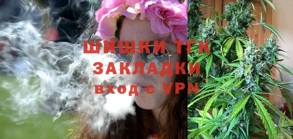 гидра Бронницы