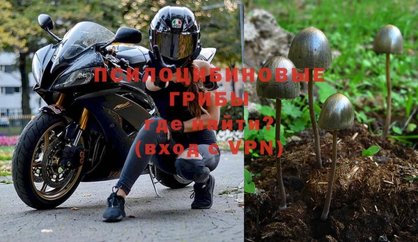 спиды Бугульма