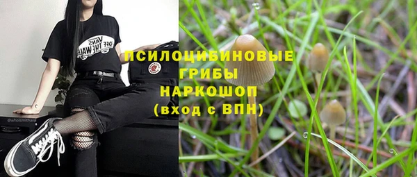 спиды Бугульма