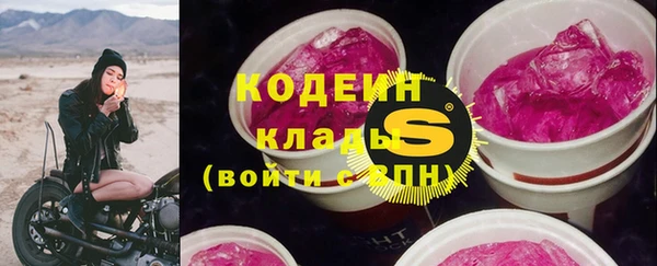 гидра Бронницы