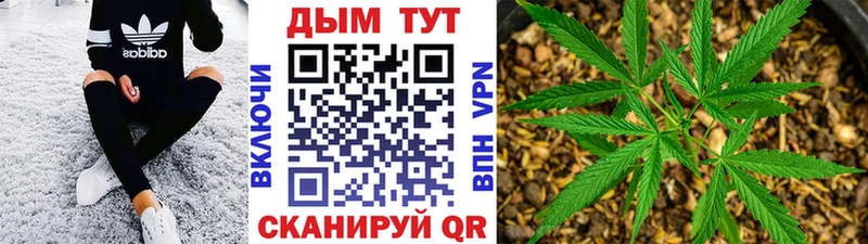 Конопля ГИДРОПОН  Данков 